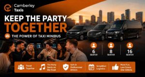 Power of the Taxi Minibus